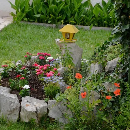 Ana-maria ゲストハウス