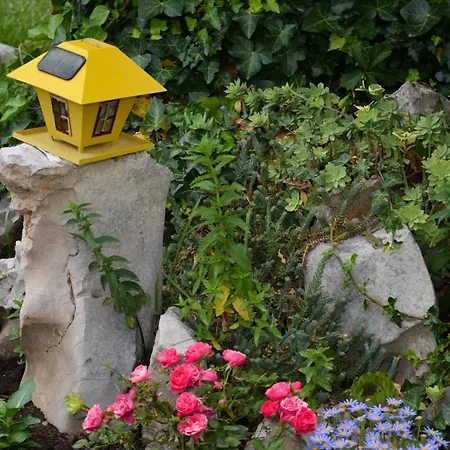 ゲストハウス Ana-maria 3*