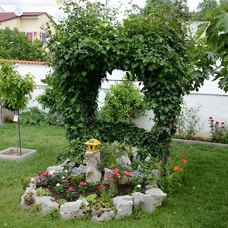 Guest house Ana-maria 3*