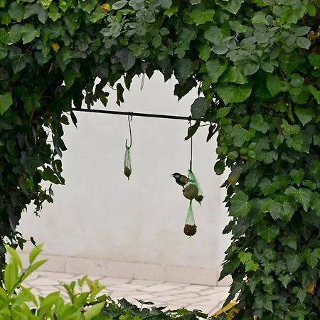 ゲストハウス Ana-maria 3*