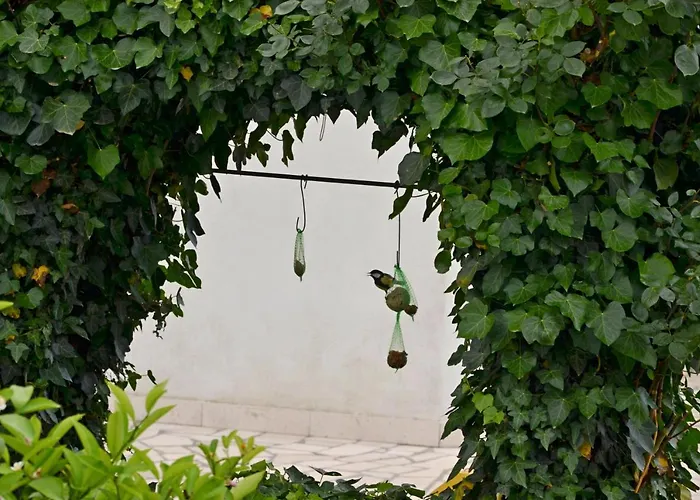 Pensjonat Ana-maria 3*